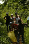 chasse aux papillons sur le plateau Danyi