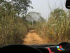 ensuite c'est la piste (82 km) pour nous mener vers Badou, le long de la frontire avec le Ghana
