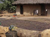 le caf sche dans la cour