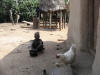 les cases de la plantation
